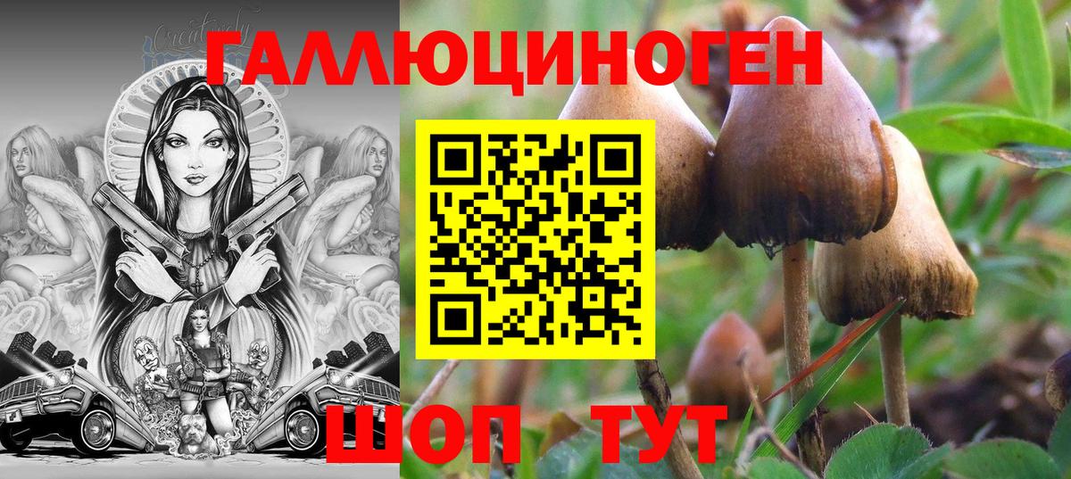 Галлюциногенные грибы мицелий  Вход с VPN  Ставрополь 